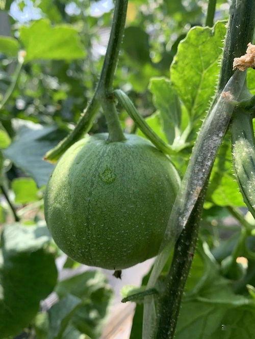 吃娱乐圈连串的瓜